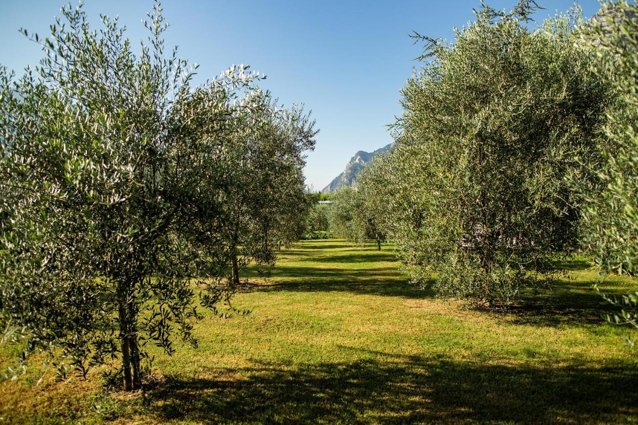 Agriturismo Casa Di Campagna Riva del Garda Luaran gambar