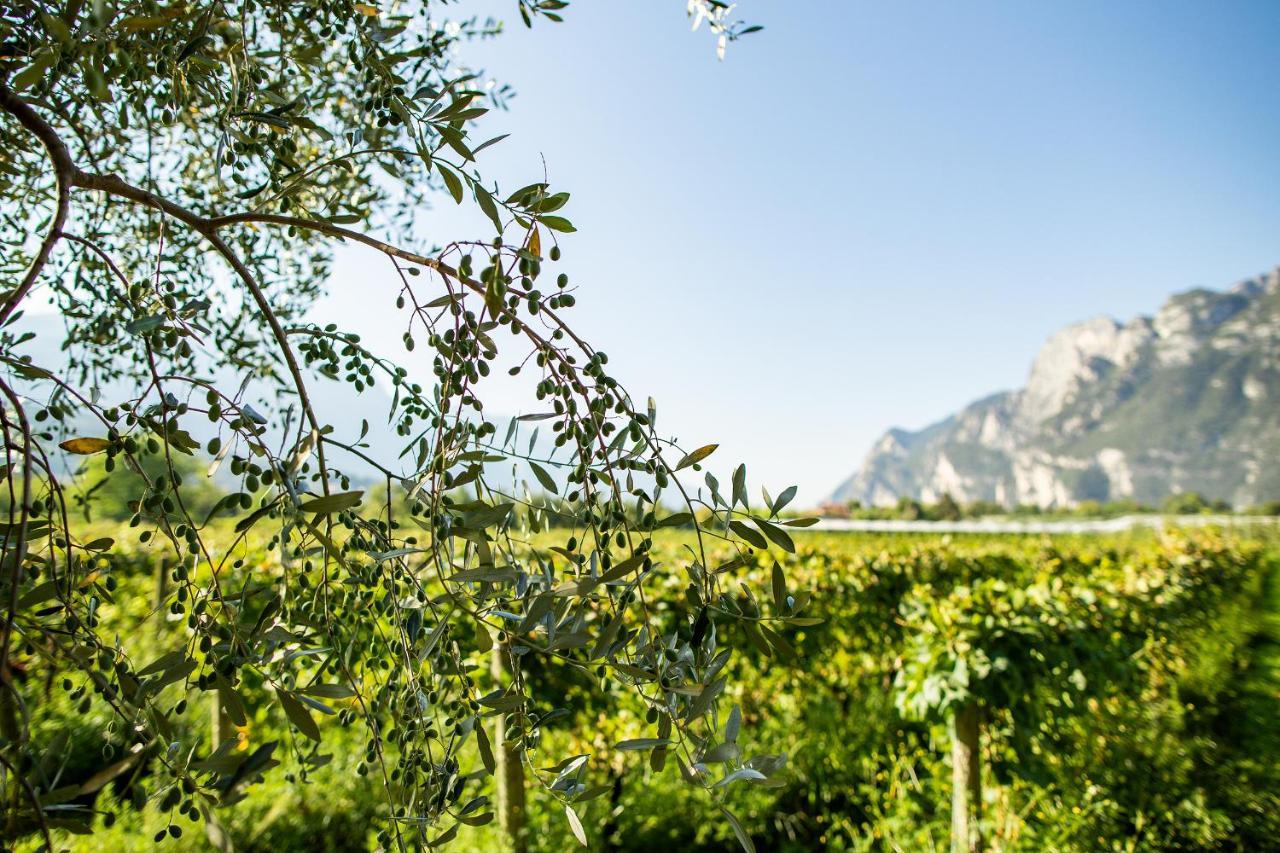 Agriturismo Casa Di Campagna Riva del Garda Luaran gambar