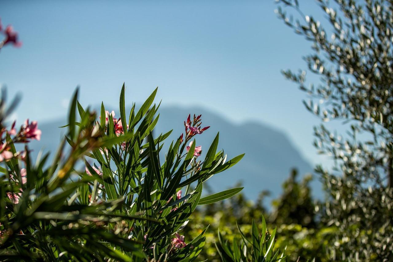 Agriturismo Casa Di Campagna Riva del Garda Luaran gambar